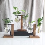 SANWOOD Vases Gifts Plant Container Retro Stable Bottom Clear Wood Stand Glass Planter Home Home Decor for Living Room Bedroom Office Desk C