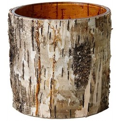 Serene Spaces Living Large Glass Interior Birch Bark Vase Decorative Centerpiece Rustic Accent Piece Ideal for Natural Wedding Tablescape Events Vintage Home Decor Measures 6" Diameter & 6" Tall