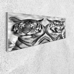 Ambesonne Savannah Acrylic Glass Wall Art Cat Expression Opposite Images Fearsome Teeth Mirror Angry Intense Wildlife Accent Decor for Living Room Bedroom & Dorms 47" x 16" Pale Grey Black