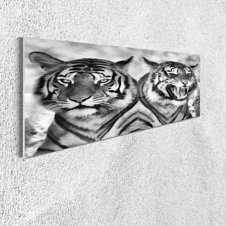 Ambesonne Savannah Acrylic Glass Wall Art Cat Expression Opposite Images Fearsome Teeth Mirror Angry Intense Wildlife Accent Decor for Living Room Bedroom & Dorms 47 x 16 Pale Grey Black