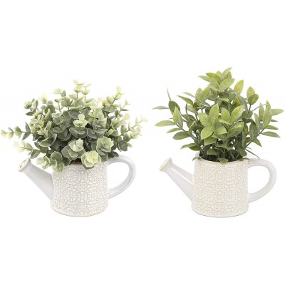Flora Bunda Artificial Succulent Faux Plant Eucalyptus & Tea Leaf in Cathedral Watering Can，Set of 2 Ivory
