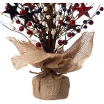 Red Berry & Star Table Tree for 4th of July Artificial Tree & Flower for Centerpiece Featured Burlap Base Farmhouse Patriotic Table Top Decoration for Independence Day Veterans Day