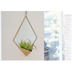 Set of 2 Bohemian Wall Mirror Decor Boho Chic Gold Mirror with Air Plant Holder Modern Plant Pot Hanger Hanging Gold Accent with Planter Pot for Succulents Geometric Minimalist Nursery Decorations