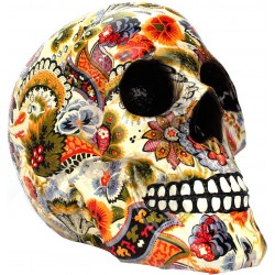VONSYA Colorfull Skull for Home Bar or Office Decor and Gift