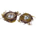 Dried Twig Wrapped with Blue Eggs Decorative Birds Nest Home Accents Set of 2