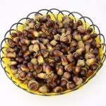 Haodeba 10 Pcs Christmas Decorative Fake Mini Acorn Oak Nut Artificial Fruits Ornaments Decor