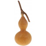 Prettyia Natural Dry Gourd Bottle Gourd,5-6cm Gourds Mini Cute Dry Fruits Table Ornaments Vase Filler Bowl Displays Wedding Party Christmas Home Decoration