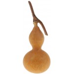 shamjina Natural Dry Gourd Decorative Dried Flowers Fruits Accents Gourd Bottle Small for