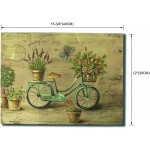 CVHOMEDECO. Rustic Retro Hand Painted Wooden Frame Wall Hanging 3D Painting Decoration Art Bicycle Flower Butterfly Design 15-3 4 x 12 Inch