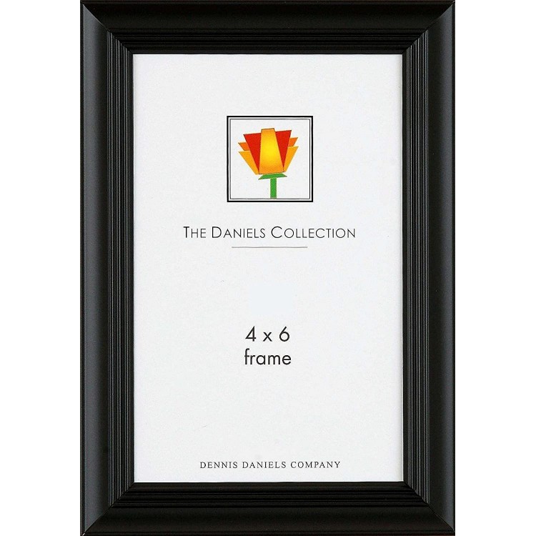 Dennis Daniels Home Accents Steel Contour Ebony Picture Frame 4 x 6 Inches