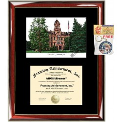 Elmhurst College Diploma Frame Lithograph Premium Wood Glossy Prestige Mahogany with Gold Accents Single Black Mat University Diploma Frame