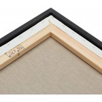Gotham Deep Gallery Frames 3 Pack of Professional Gallery Frames for Canvas Paintings Presentation & More! [Black 16x20]