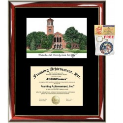 Midwestern State University Diploma Frame Lithograph MWSU Premium Wood Glossy Prestige Mahogany with Gold Accents Single Black Mat University Diploma Frame