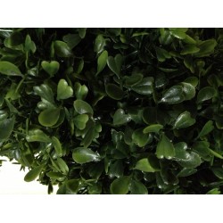 Arcadia Silk Plantation 2 Pre-potted 4 Feet 2 Inches Spiral Boxwood Artificial Topiary Trees in Plastic Pot