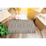 Emerson Essentials Indoor Outdoor Doormats 2 Pack Low Profile Floor Rugs Inside Outside Door Mats Entry Way Durable Rubber Backing Absorbent 32x20 Machine Washable Sturdy and No Smell – Brown