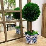 Galt International Preserved Boxwood Topiary Tree in Ceramic Pot Plant and Table Centerpiece Stunning Greenery and Plant Decor for Home | Blue & White Ceramic Pot 8 Diameter Topiary 19 Tall