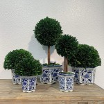 Galt International Preserved Boxwood Topiary Tree in Ceramic Pot Plant and Table Centerpiece Stunning Greenery and Plant Decor for Home | Blue & White Ceramic Pot 8 Diameter Topiary 19 Tall