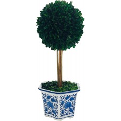 Galt International Preserved Boxwood Topiary Tree in Ceramic Pot Plant and Table Centerpiece Stunning Greenery and Plant Decor for Home | Blue & White Ceramic Pot 8" Diameter Topiary 19" Tall