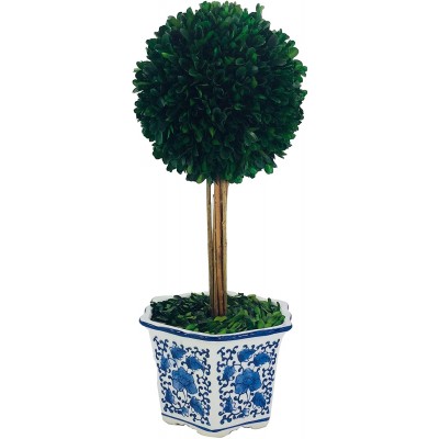Galt International Preserved Boxwood Topiary Tree in Ceramic Pot Plant and Table Centerpiece Stunning Greenery and Plant Decor for Home | Blue & White Ceramic Pot 8" Diameter Topiary 19" Tall