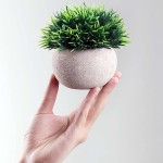 ivolks 2Pcs Artificial Mini Potted Plants Plastic Faux Topiary Shrubs Fake for Bathroom Home Office Decor