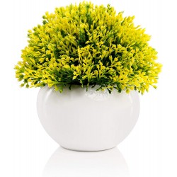 Mini Artificial Plant in White Ceramic Pot | Decorative Faux Plant for Home Office Decor | Small Potted Topiary | Farmhouse Decor Accent | Desk Kitchen Bathroom Shelf Fake Plant Yellow & Green