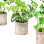 Mkono Mini Potted Fake Plants for Bathroom Home Office Decor Set of 3 Artificial Plants Greenery Decor in Gray Pot for Rustic Farmhouse Shelf Desk Kitchen Shower Room Decorations