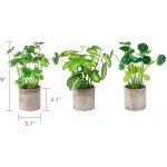 Mkono Mini Potted Fake Plants for Bathroom Home Office Decor Set of 3 Artificial Plants Greenery Decor in Gray Pot for Rustic Farmhouse Shelf Desk Kitchen Shower Room Decorations