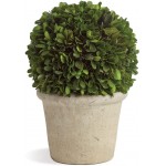 MY SWANKY HOME Elegant 12 in Ball Topiary in Pot Preserved Boxwood Greenery Faux Floral English