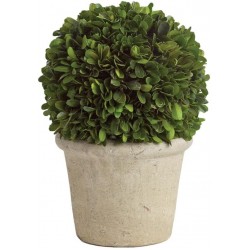 MY SWANKY HOME Elegant 12 in Ball Topiary in Pot Preserved Boxwood Greenery Faux Floral English