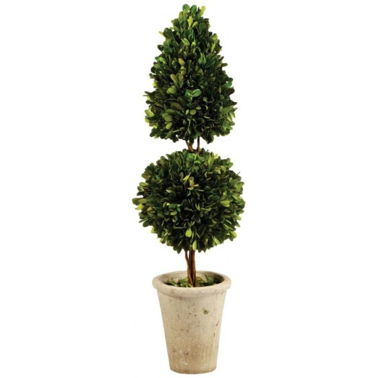 MY SWANKY HOME Elegant Double Stacked Shapes Topiary Pot English Boxwood 25 in Classic Greenery