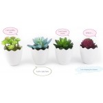 Myartte Artificial Succulent Plants Fake Succulents Mini Faux Plants for Home Office Docor Resin Pots …