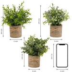 PENGYEE Artificial Plant 3Pcs Mini Plants Artificial Potted Set Fake Green Grass Faux Plastic Green Rosemary Topiary Shrubs for Home Office Desk Kitchen Counter Decoration