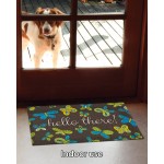 Toland Home Garden 800347 Brilliant Butterflies- Hello 18 x 30 Inch Decorative Doormat