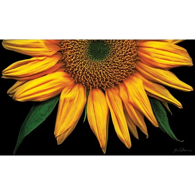 Toland Home Garden Sunflowers on Black 18 x 30-Inch Decorative Floor Mat Sunflower Portrait Flower Doormat