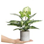 Velener Artificial Potted Green Leaf Plant in Pot 16 inches Taro Leaf Fake Plant Decor for Indoor Home Office Plants for Desktop Shelf Coffee Table