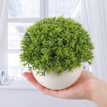 Wholine 2 Packs Artificial Mini Potted Plants Small Fake Green Grass Shrubs with White Pot for Home Office Desk Bathroom Room Decor